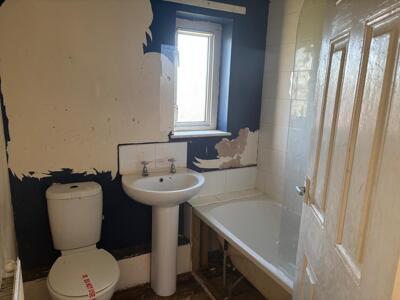 Picture 11
